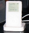IMG_0310.jpg